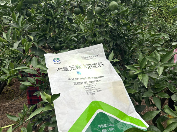 爱媛种植-爱施蔓蔓叶大量元素水溶肥