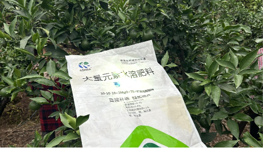 爱媛种植管理要点：肥料的选择